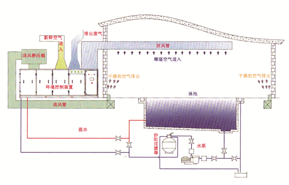 瀚宇水處理：如果做好這些，奧運泳池怎么會“綠”?